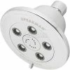 Speakman Anystream® Alexandria Wall Mount Shower Head, Polished Chrome Finish, 2.5 GPM