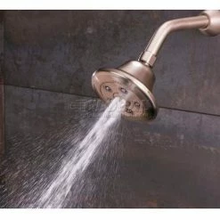 Speakman Anystream® Alexandria Wall Mount Shower Head, Brushed Nickel Finish, 2.5 GPM -Bathtubs & Showers Shop S 3011 Slate Spray3