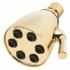 Speakman Anystream® Icon 6-Jet Shower Head, Polished Brass Finish, 2.5 GPM