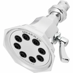 Speakman S-3019 Anystream® Vintage Shower Head