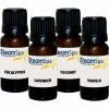SteamSpa G-OIL4 Essential Essence Pack, 4-10ml Bottles For Steambaths -Bathtubs & Showers Shop SPW G OIL4